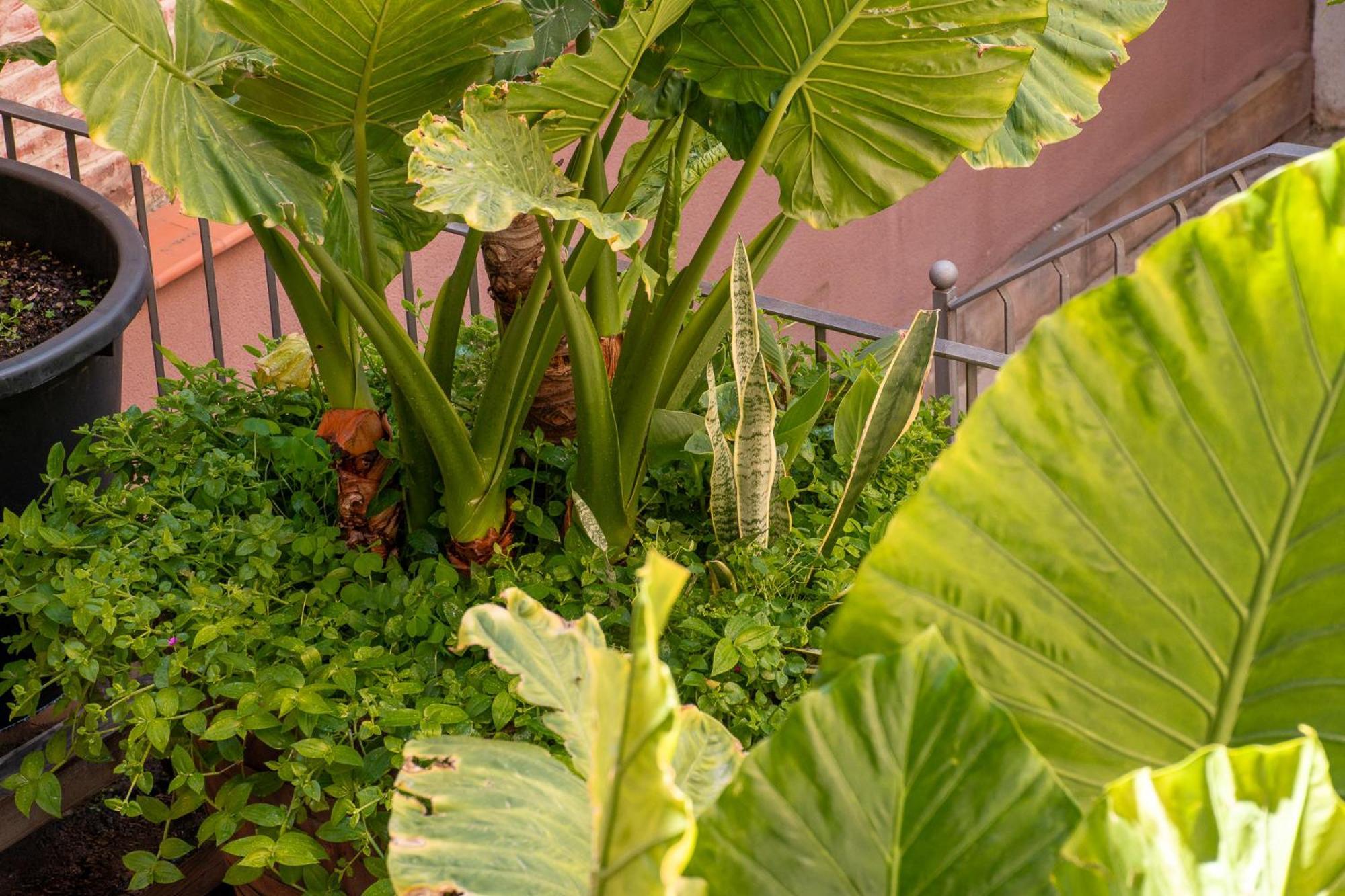 Bed & Breakfast Verdi 254 Barcelona